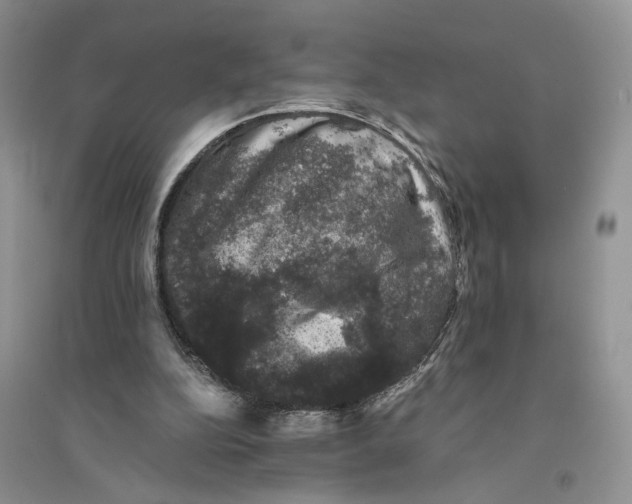 X0000094440152200711291644