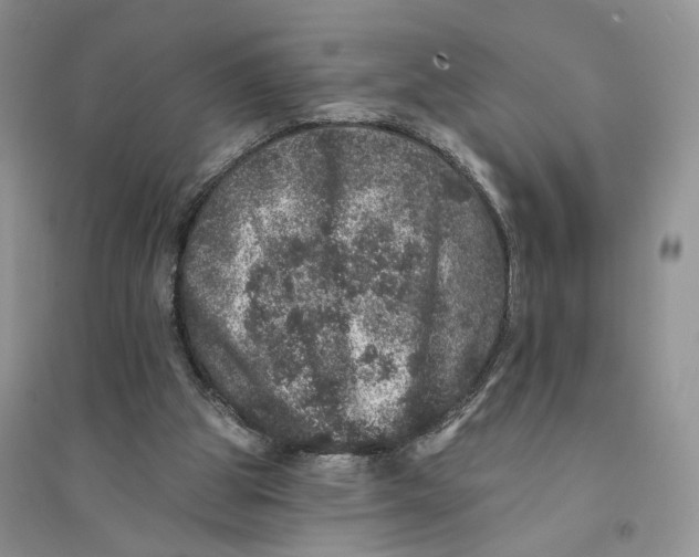 X0000094440153200711291644