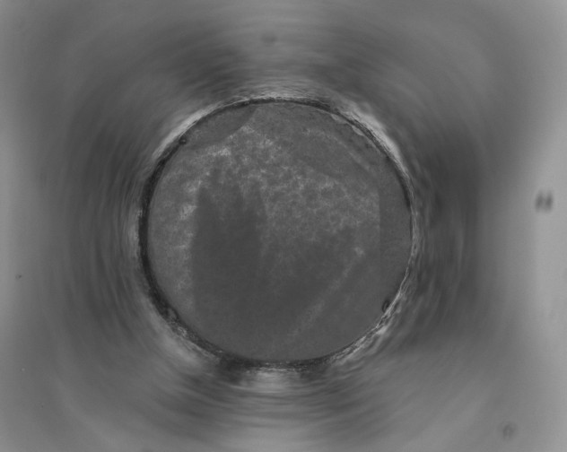 X0000094440154200711291644