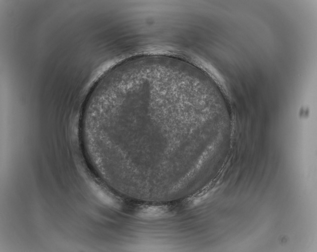 X0000094440155200711291644