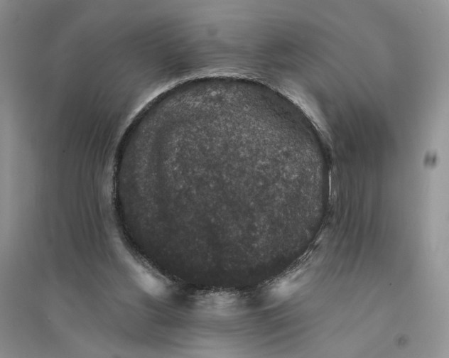 X0000094440156200711291644