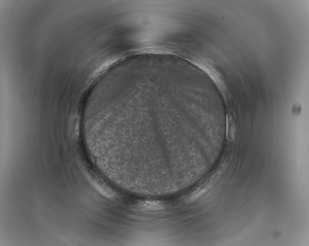 X0000094440157200711291644