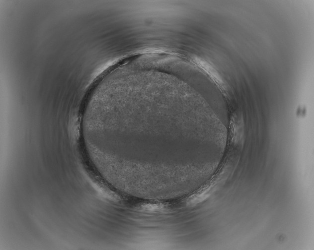 X0000094440160200711291644