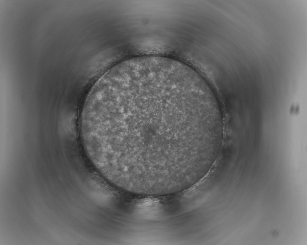 X0000094440162200711291644