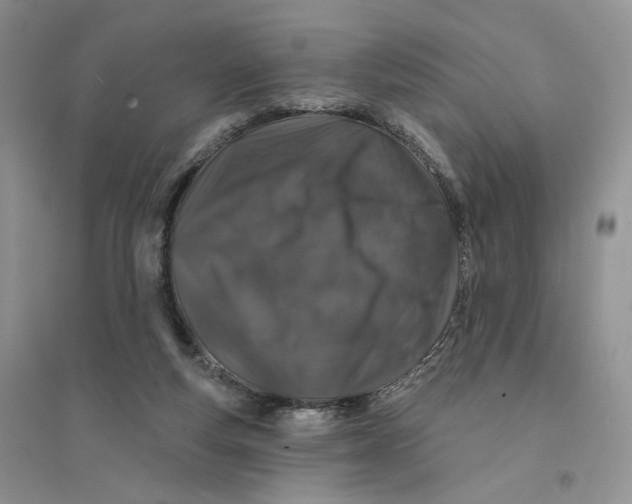 X0000094440163200711291644