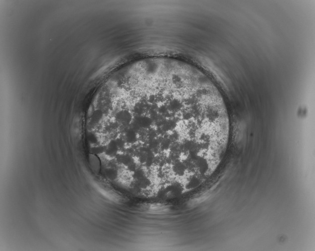 X0000094440165200711291644