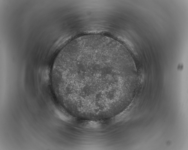 X0000094440166200711291644