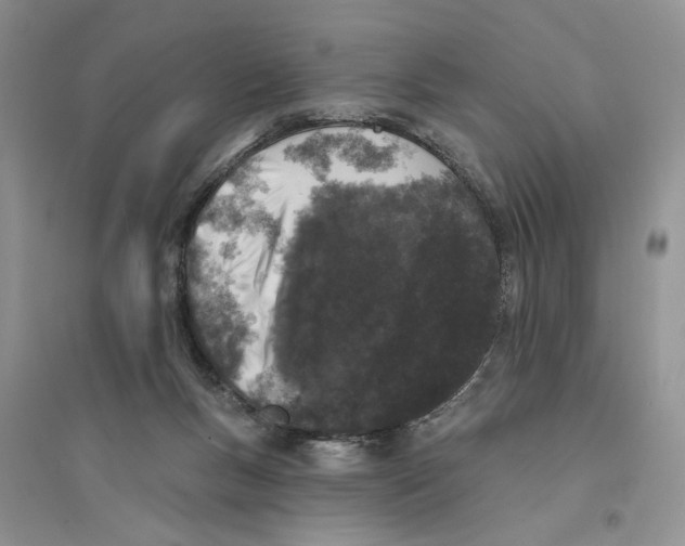 X0000094440167200711291644