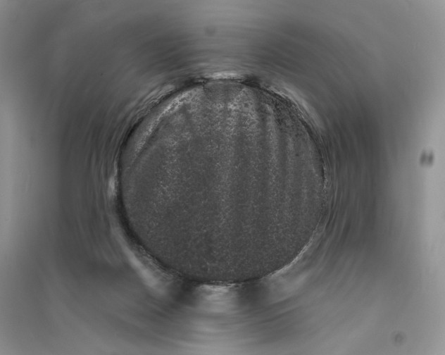 X0000094440170200711291645