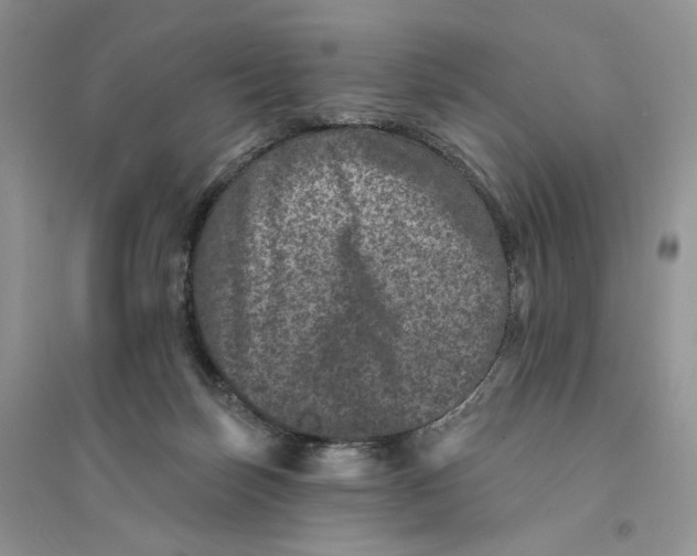 X0000094440171200711291645