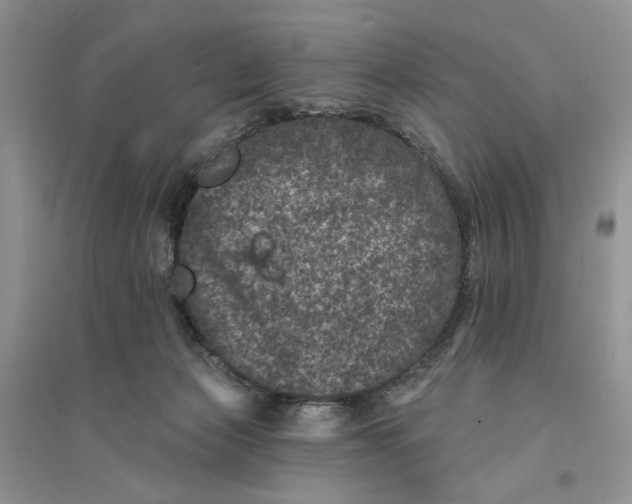 X0000094440173200711291645