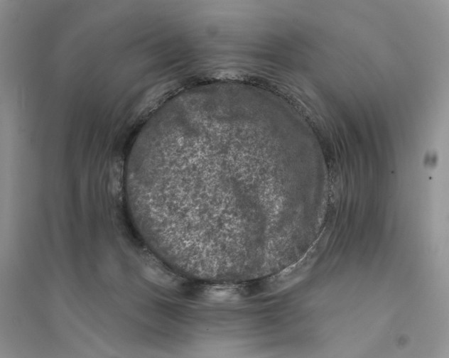 X0000094440175200711291645