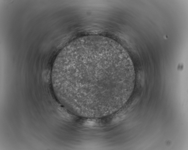 X0000094440177200711291645