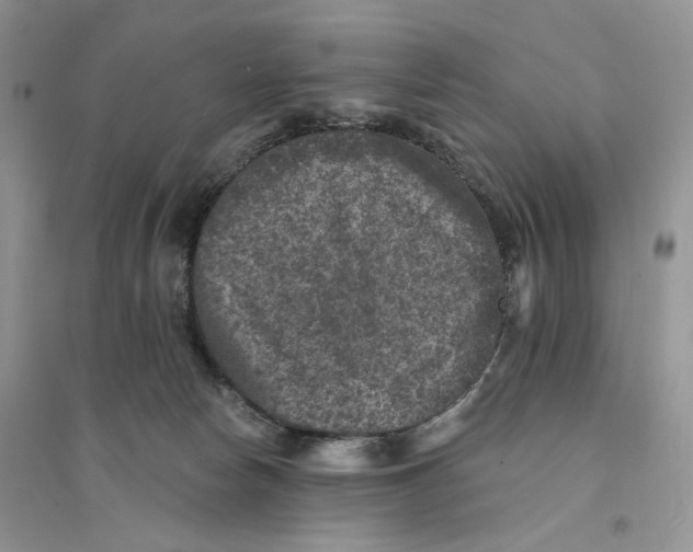 X0000094440178200711291645