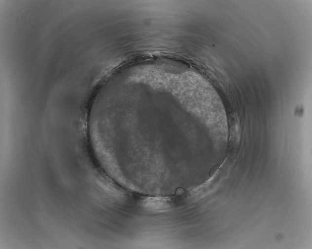 X0000094440179200711291645