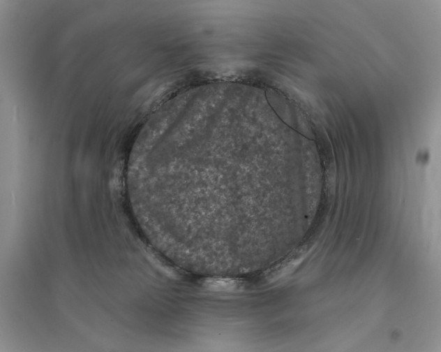 X0000094440181200711291645