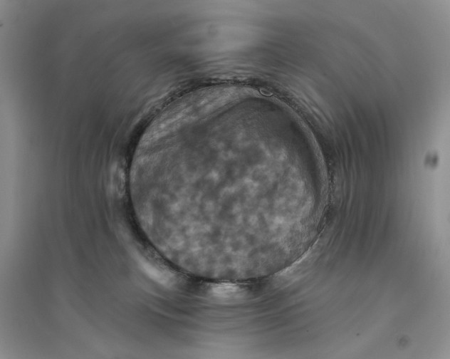 X0000094440183200711291645