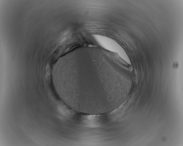 X0000094440184200711291645