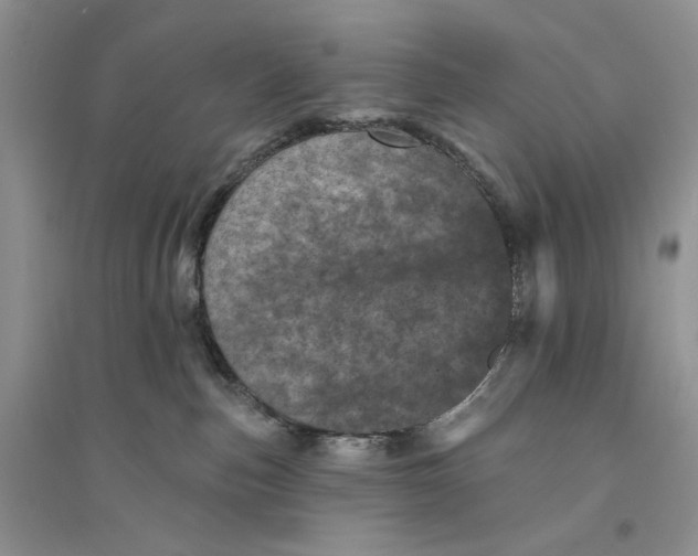 X0000094440187200711291645