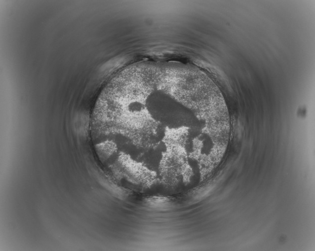 X0000094440189200711291645