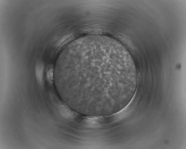 X0000094440190200711291645