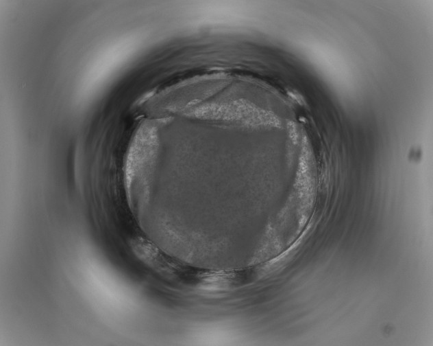 X0000094440191200711291645