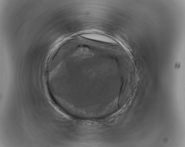 X0000094440193200711291644