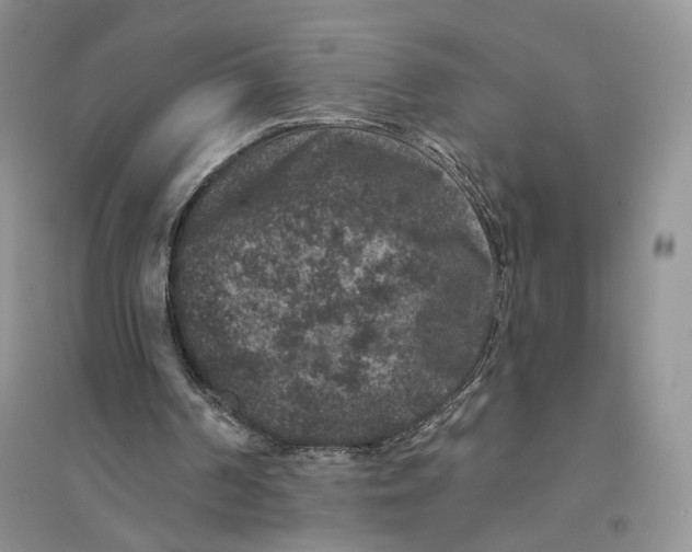 X0000094440194200711291644