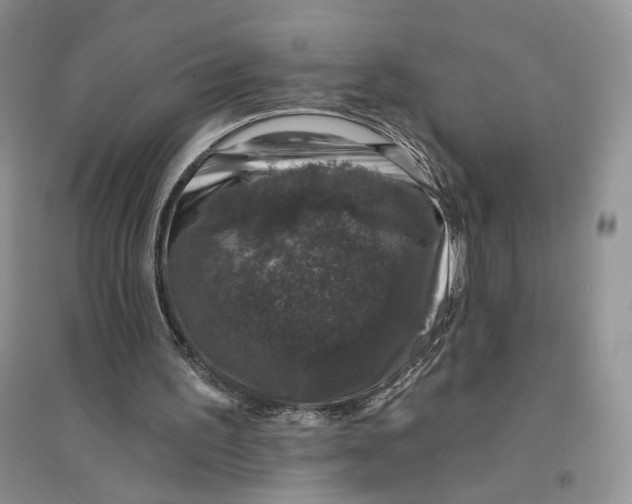 X0000094440195200711291644