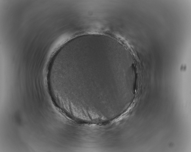 X0000094440197200711291644