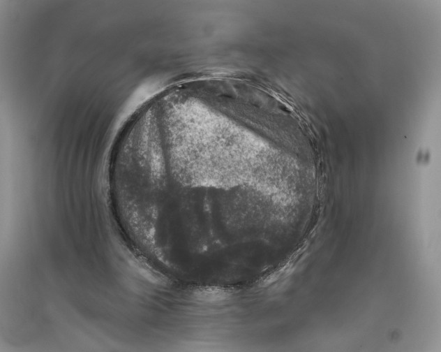 X0000094440198200711291644