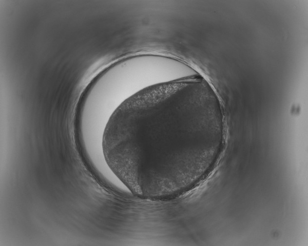 X0000094440199200711291644