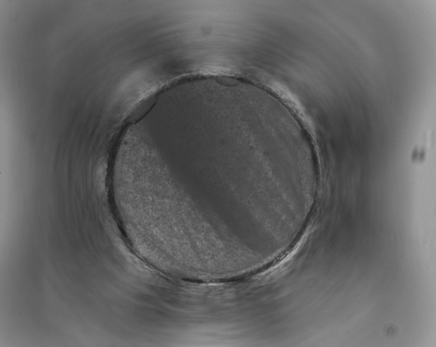 X0000094440201200711291644