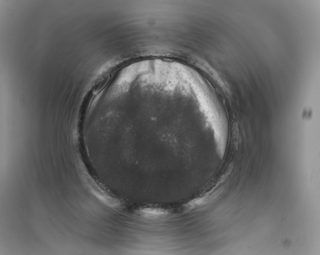 X0000094440203200711291644