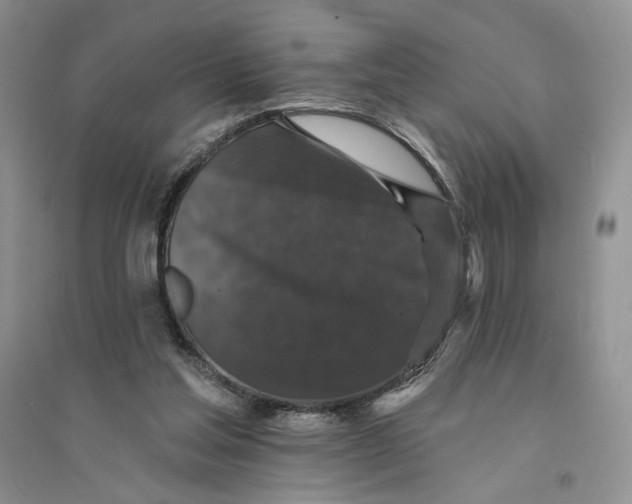 X0000094440205200711291644