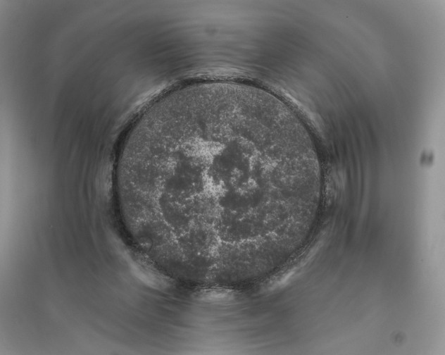 X0000094440206200711291644