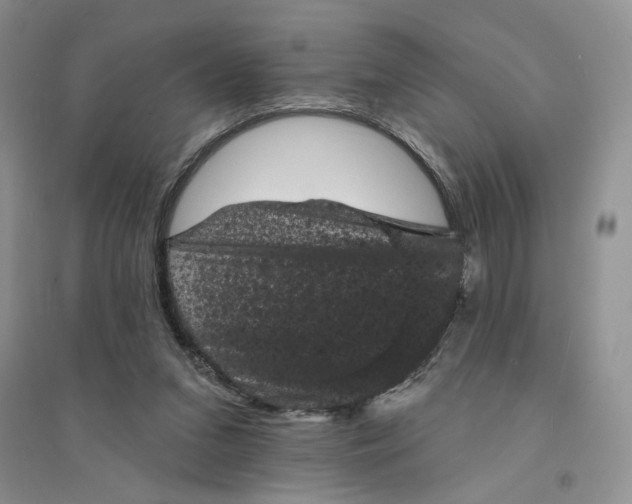 X0000094440207200711291644