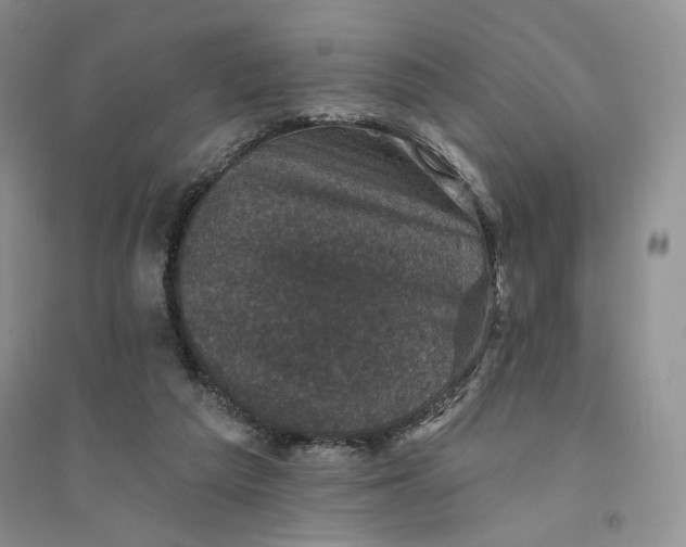 X0000094440209200711291644