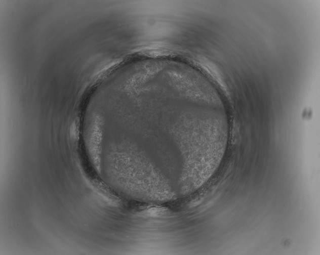 X0000094440210200711291644