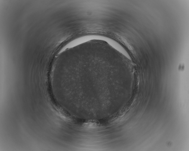 X0000094440211200711291644