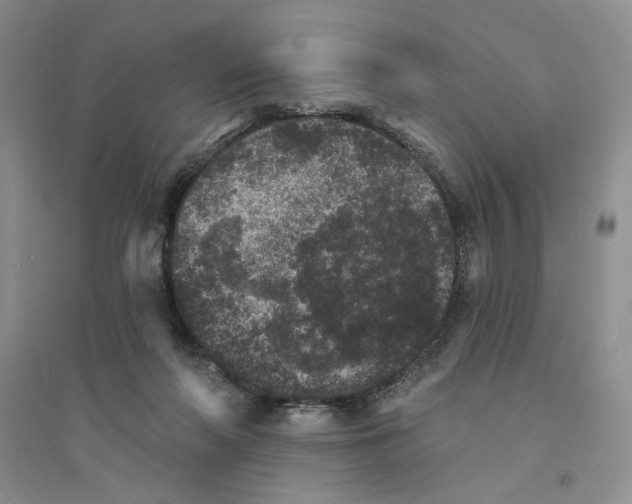 X0000094440214200711291644