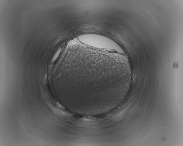 X0000094440215200711291644