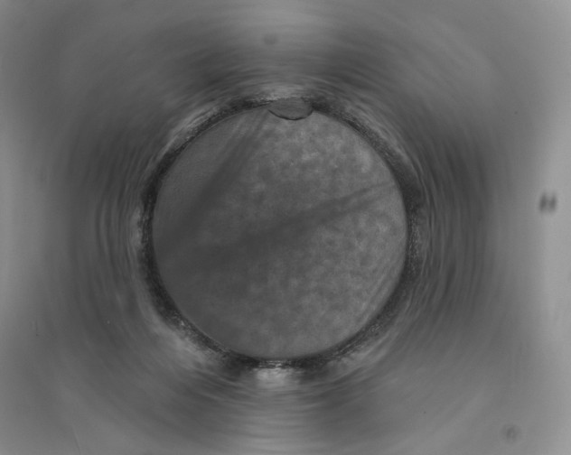 X0000094440216200711291644