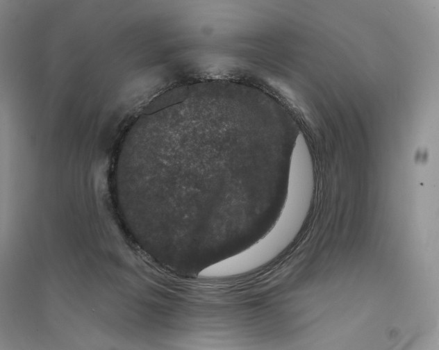 X0000094440217200711291644