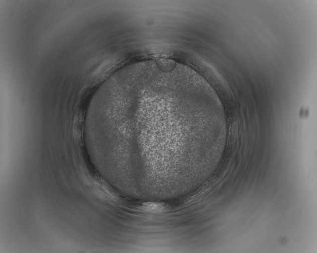 X0000094440218200711291644