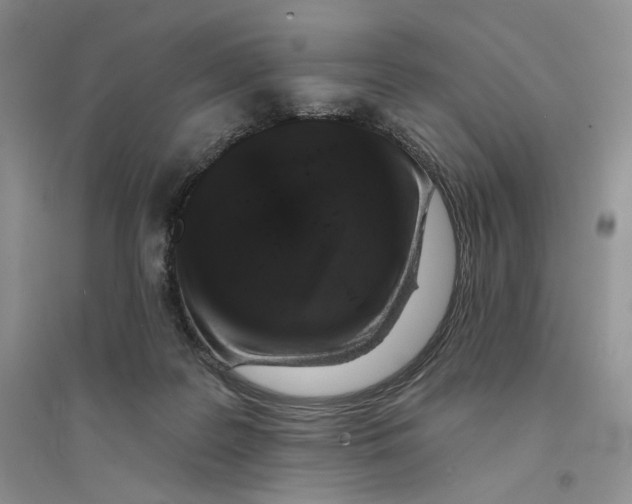 X0000094440219200711291644