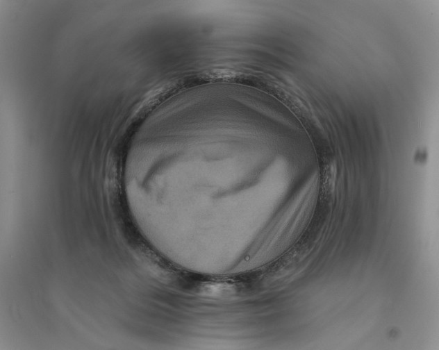 X0000094440220200711291644