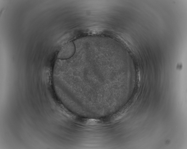 X0000094440222200711291644