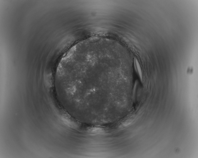 X0000094440224200711291644