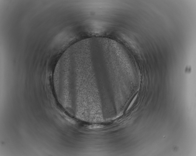 X0000094440225200711291644